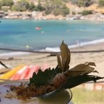 Bella Ibiza